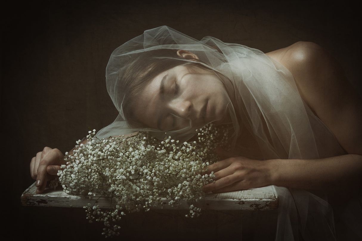 sleeping under the veil Poster och Canvastavla