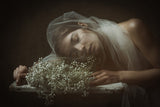 sleeping under the veil Poster och Canvastavla