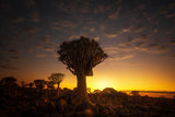 At sunrise 7R45806 Poster och Canvastavla
