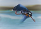 Flying in Slow Motion Poster och Canvastavla