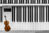Cello at the Door Poster och Canvastavla