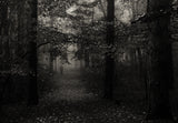 Autumn hill walk Poster och Canvastavla