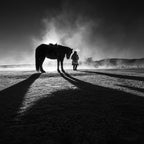 The winter Poster och Canvastavla