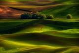 Spring in the Palouse Poster och Canvastavla