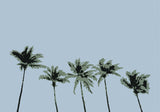Palms Blue Poster och Canvastavla