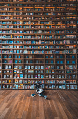Hidden library Poster och Canvastavla