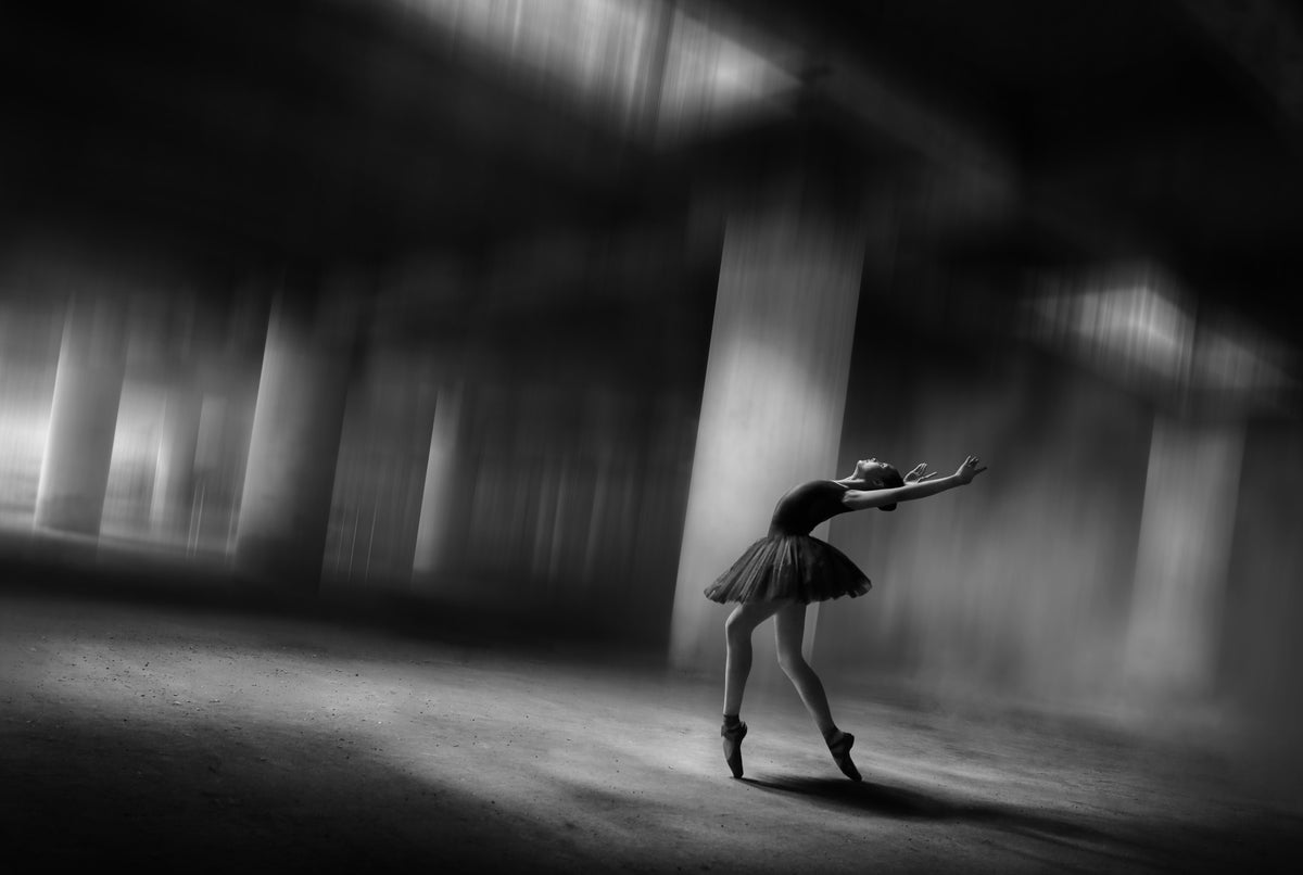 Sole Dancer Poster och Canvastavla