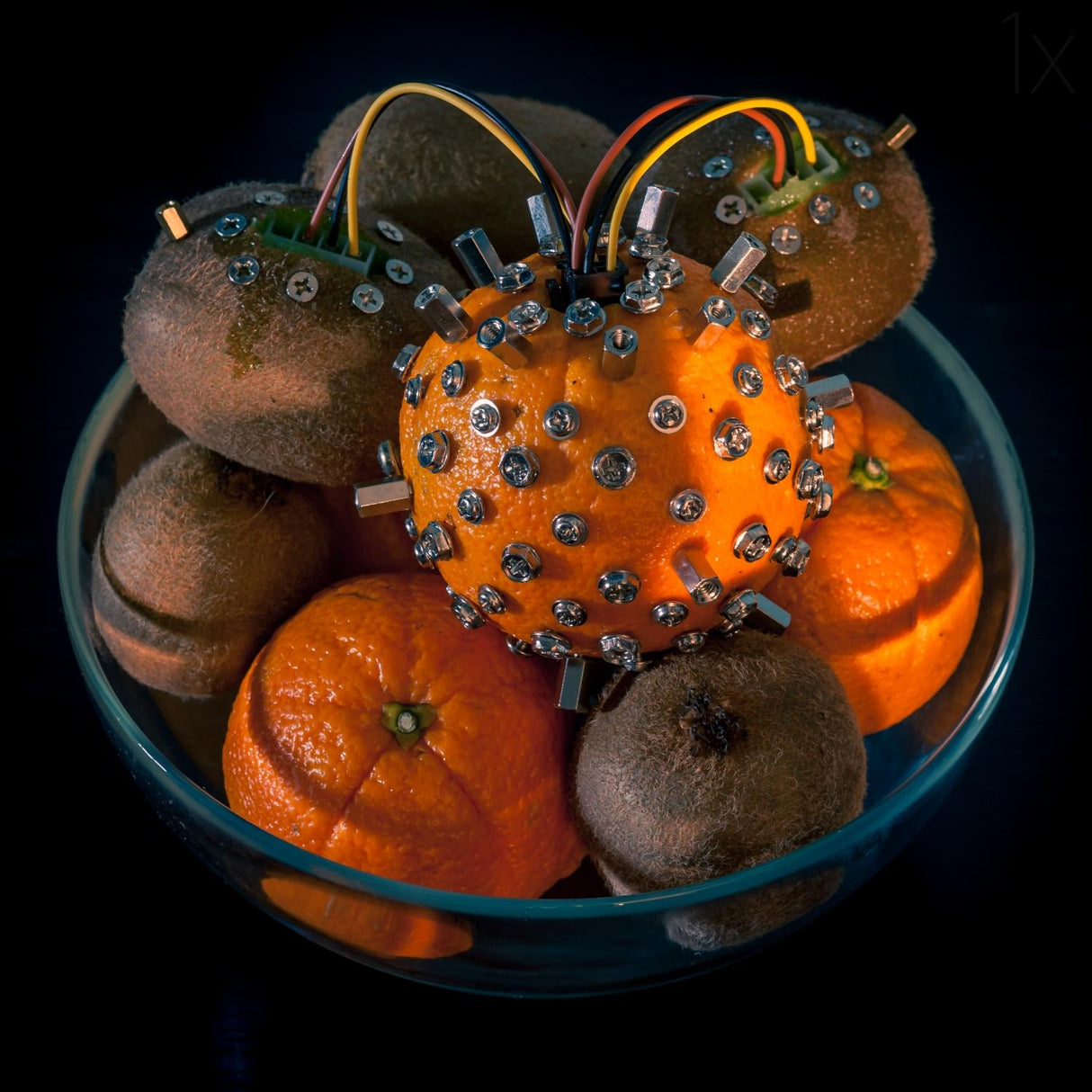 Orange mutation Poster och Canvastavla