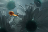 Snail With Flowers Poster och Canvastavla
