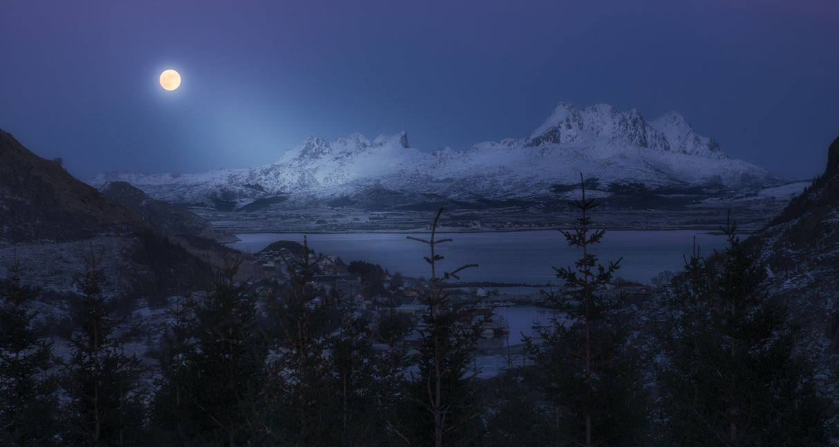 Full Moon Poster och Canvastavla