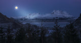 Full Moon Poster och Canvastavla