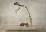 Lilies Poster och Canvastavla