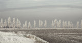 Winter Solstice Poster och Canvastavla