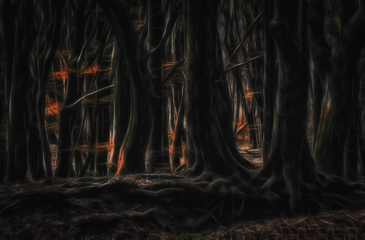 The forest of dancing trees Poster och Canvastavla