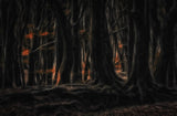The forest of dancing trees Poster och Canvastavla