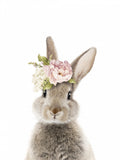 Floral Bunny Poster och Canvastavla