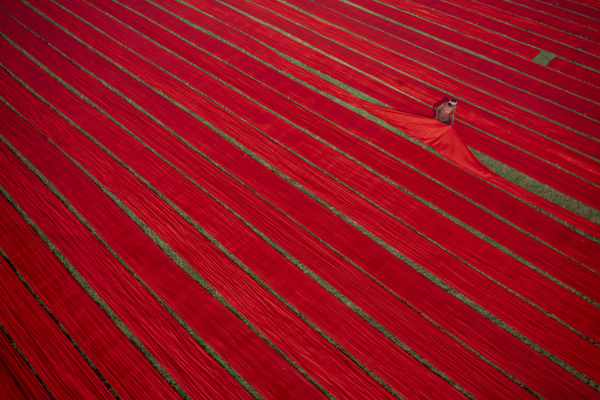 Drying clothes in the fields Poster och Canvastavla