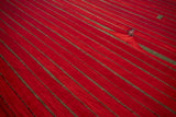 Drying clothes in the fields Poster och Canvastavla