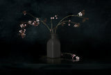 Still Life 2307 Poster och Canvastavla