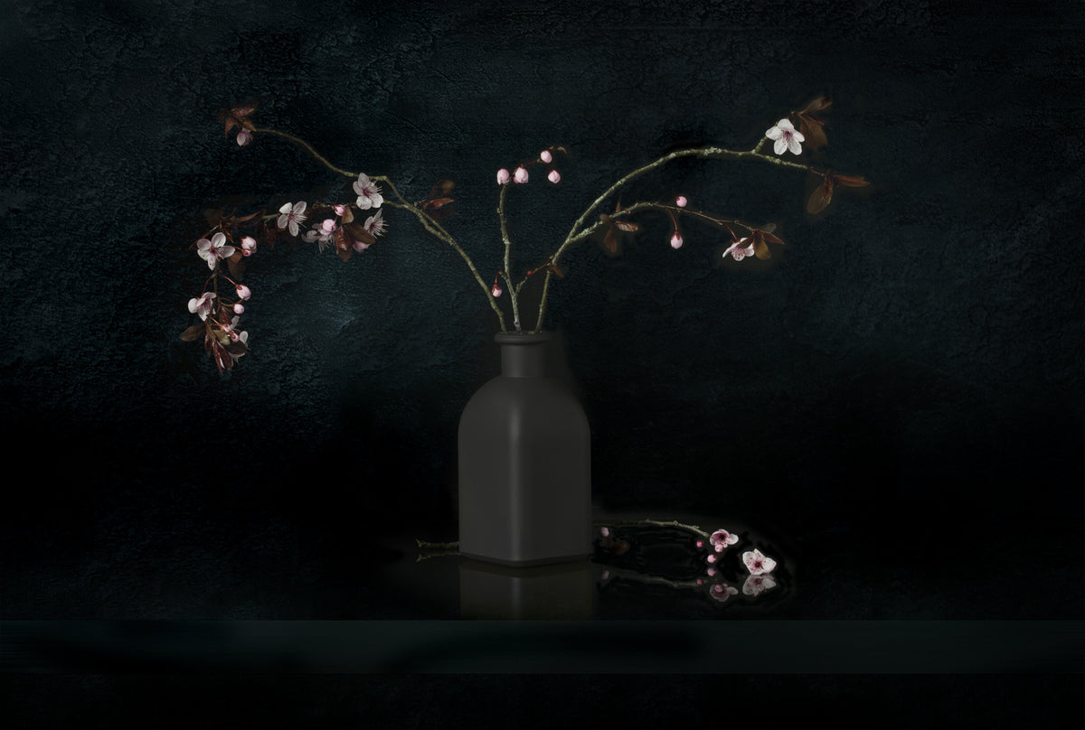 Still Life 2307 Poster och Canvastavla