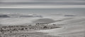 Upcoming storm (White Sands Nat. Monument) Poster och Canvastavla