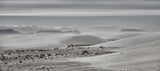 Upcoming storm (White Sands Nat. Monument) Poster och Canvastavla
