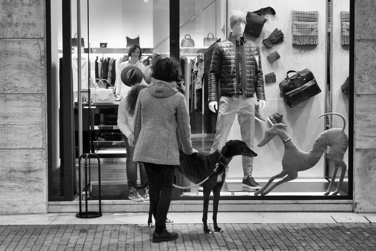 Dogs Poster och Canvastavla