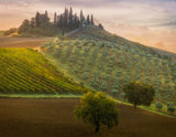 Tuscany Poster och Canvastavla
