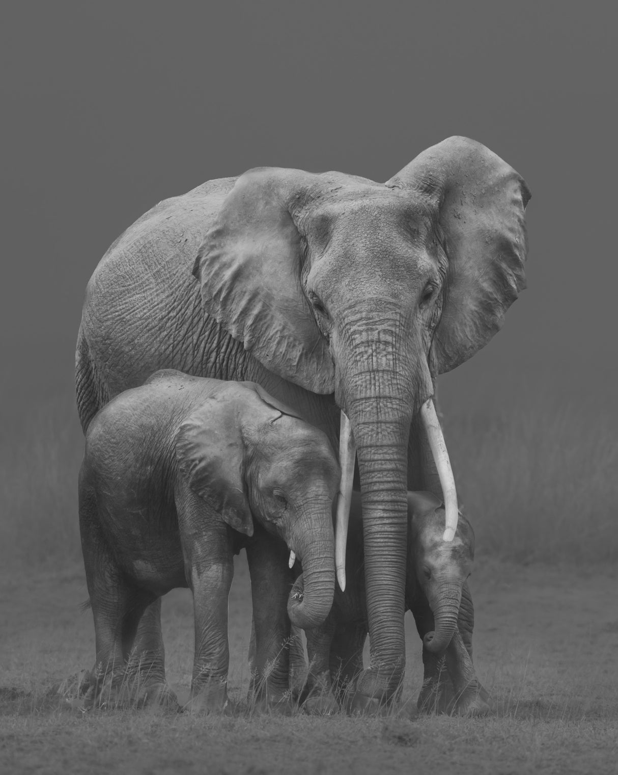 Mum and Kids Poster och Canvastavla