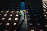 Balloons in the shadow Poster och Canvastavla