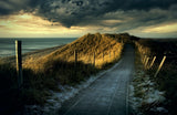 Cold Fence......... Poster och Canvastavla