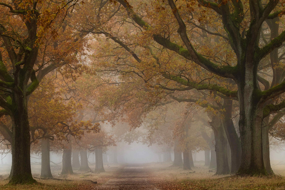 Destination Fall Poster och Canvastavla