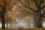 Destination Fall Poster och Canvastavla