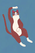 Brown and white cat 02 Poster och Canvastavla