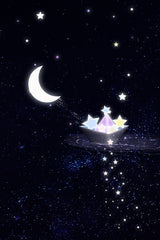 6000x9000 Starry boat Poster och Canvastavla