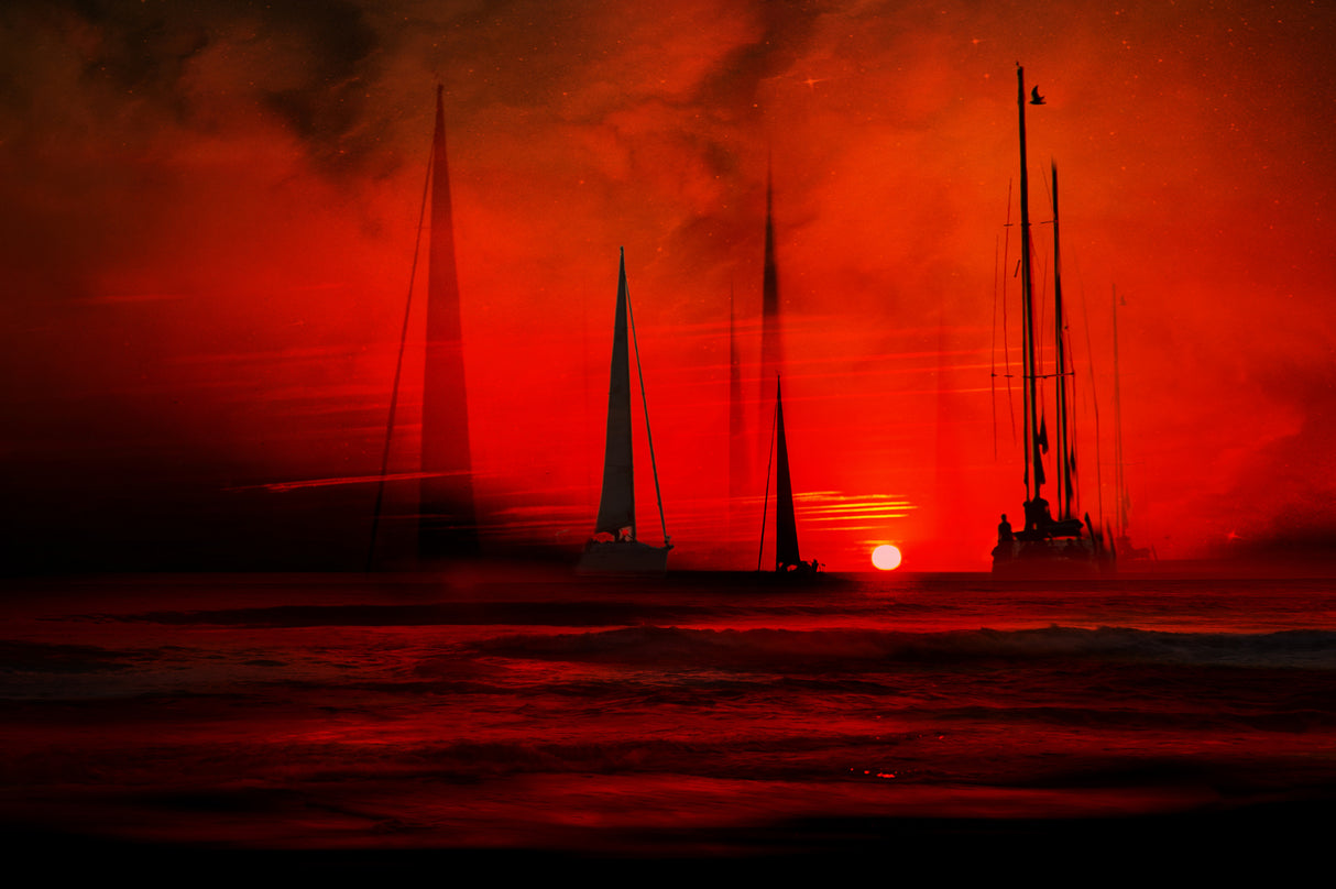 Sailboats Poster och Canvastavla