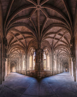 Cloister Poster och Canvastavla