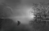 rowlling to the fog Poster och Canvastavla