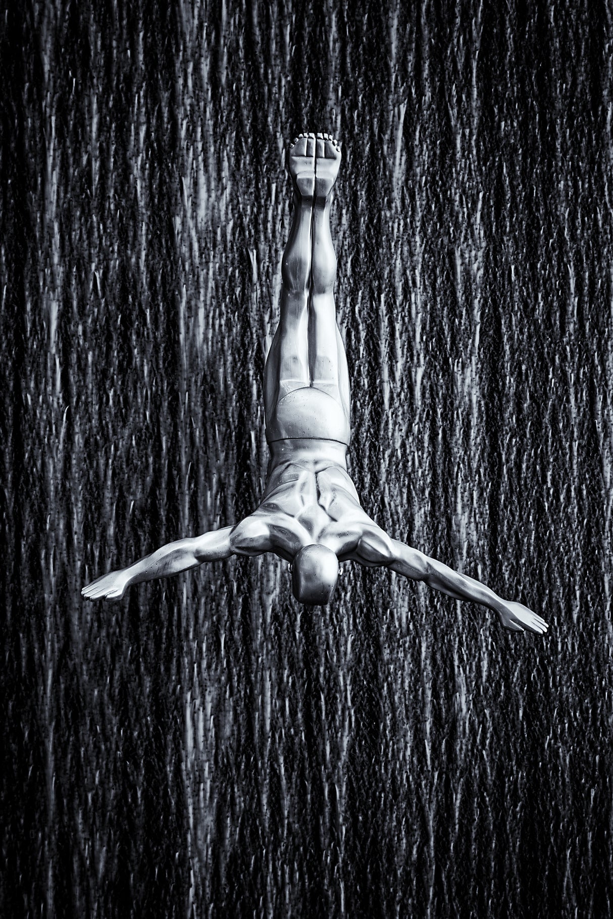 fine diving Poster och Canvastavla