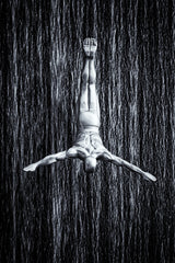 fine diving Poster och Canvastavla