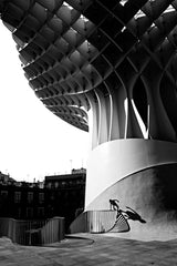 climbing over parasol Poster och Canvastavla