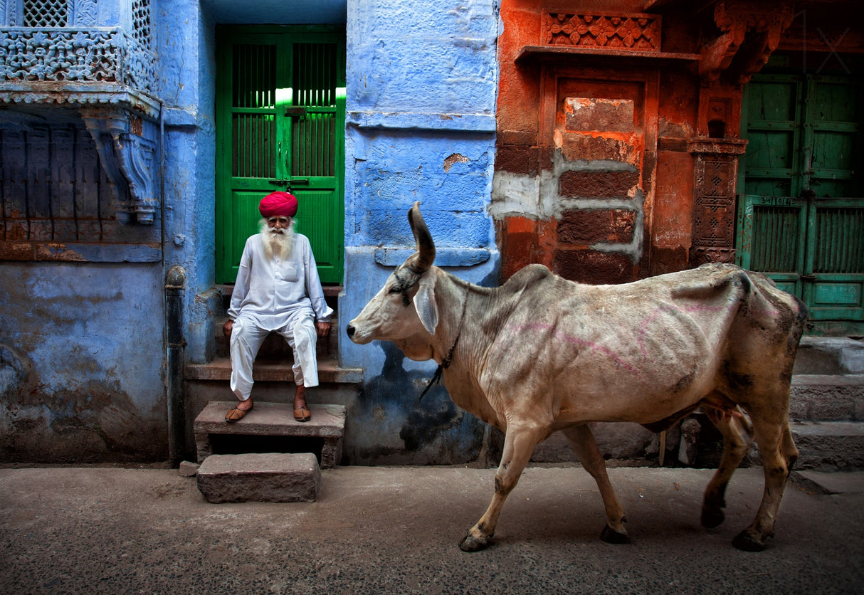 India Poster och Canvastavla
