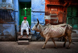India Poster och Canvastavla