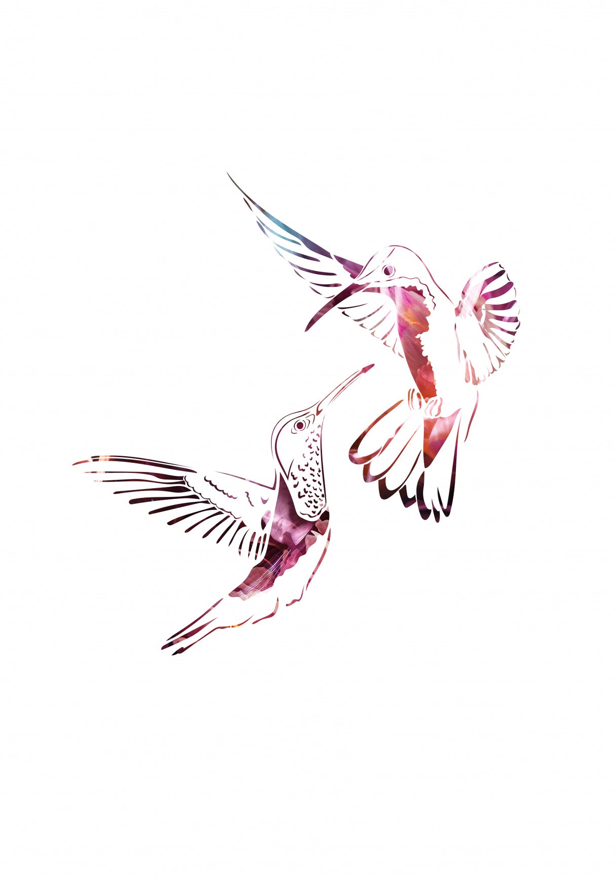 Colourful Hummingbirds Poster och Canvastavla