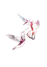 Colourful Hummingbirds Poster och Canvastavla