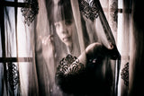 Hidden in a Veil Poster och Canvastavla
