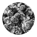 Paisley Blooms Black &amp; White Poster och Canvastavla