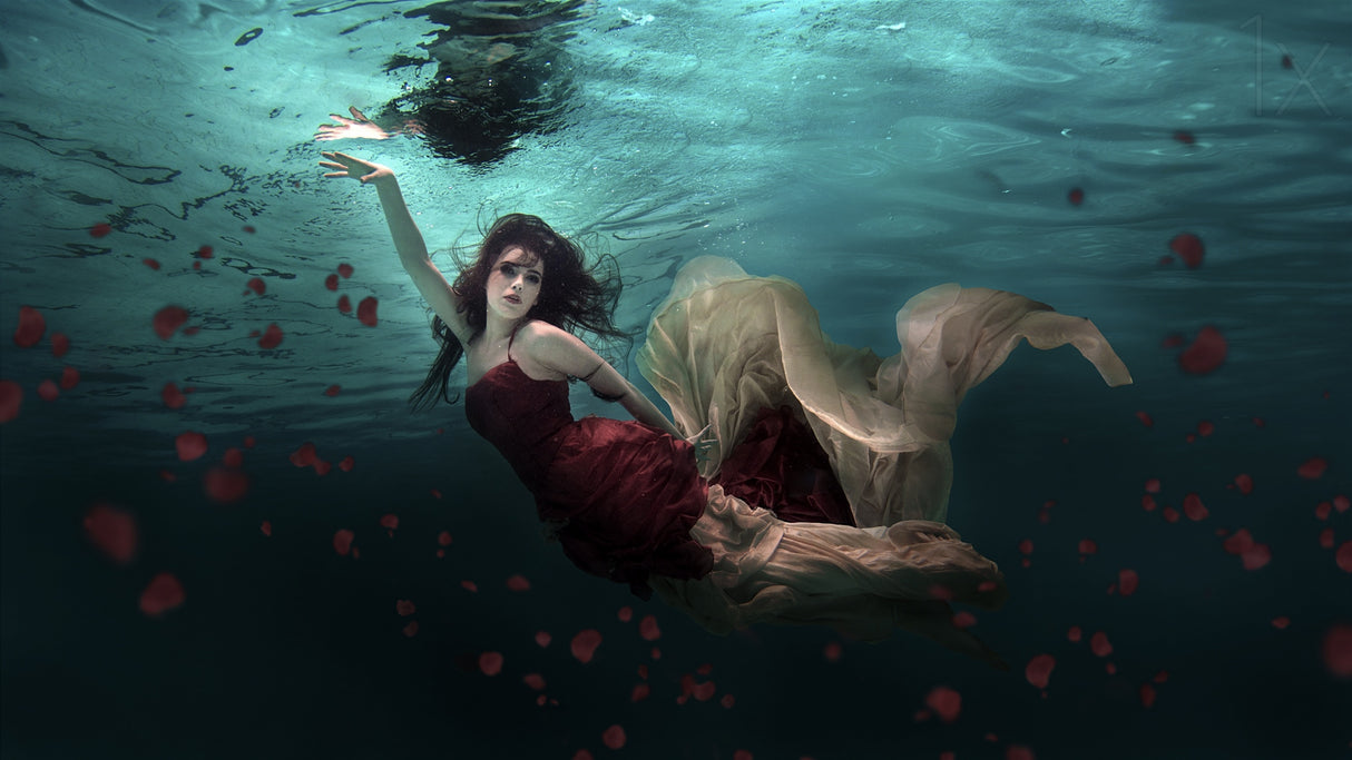 Ocean of Roses Poster och Canvastavla