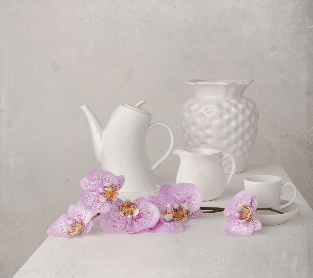 White and Lilac Poster och Canvastavla