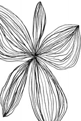 Flowerina 4 Poster och Canvastavla